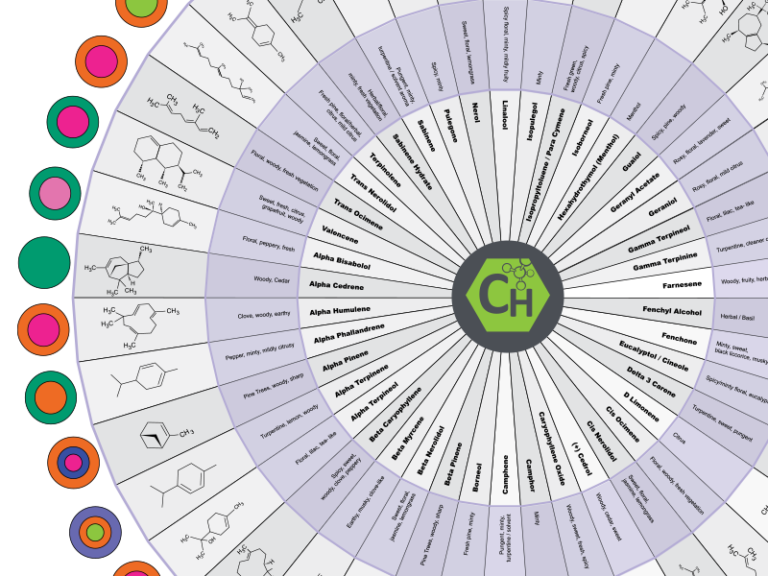 chemhistory-terpene-wheel