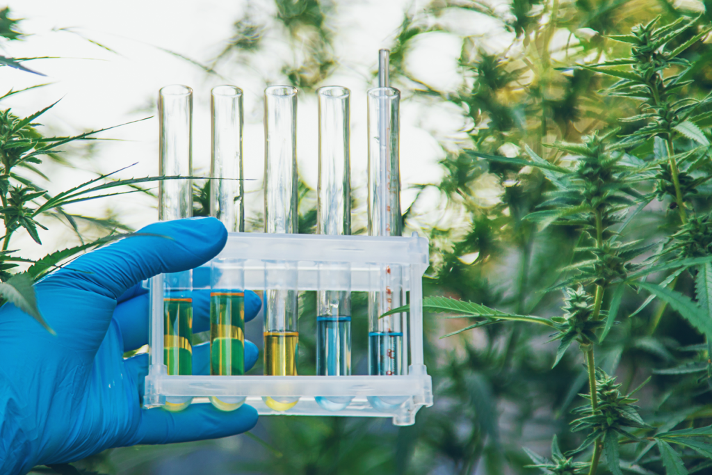 Cannabis Pesticide Testing